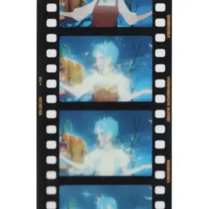 Miscellaneous Goods Hoshigai Suisei Pumpkin Vivideva Music Video Film Cd Virtual