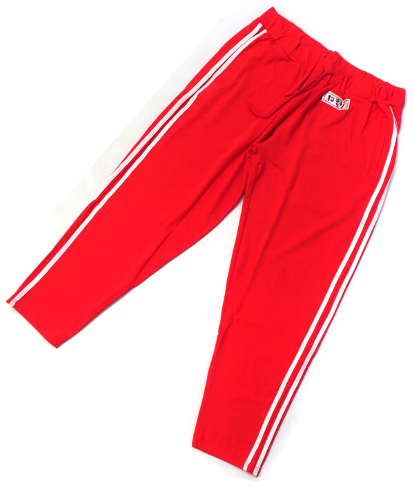 Clothing Hyakki Ayame Jersey Pants Red One Size Virtual Youtuber Hololivecostume