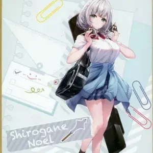 Paper Products Shirogane Noel Full Body Virtual Youtuber Hololive 7-Eleven Shira