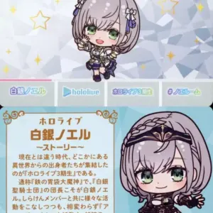 Character Card Shirogin Noel Normal Virtual Youtuber Hololive Carddass Vol.3 F/S
