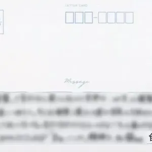 Character Card Shirogin Noel Individual Member Replica Letter Cd Virtual Youtube