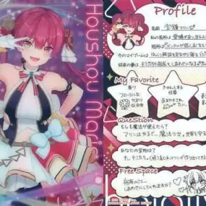 Anime Trading Card/Member Card/Hololive Wafers 2 2628967 22 Hokke Marine F/S-M50
