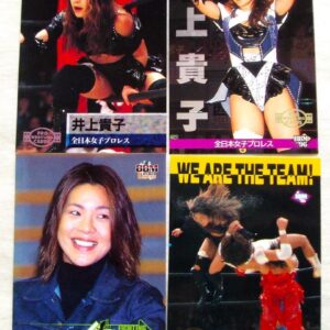 Takako Inoue Bbm All Japan Women'S Pro Wrestling Card Trading F/S-M501 from japa