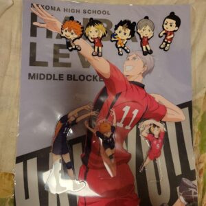 Haikyuu Keychain Acrylic Stand F/S-M501 from japan Rare  Good condition
