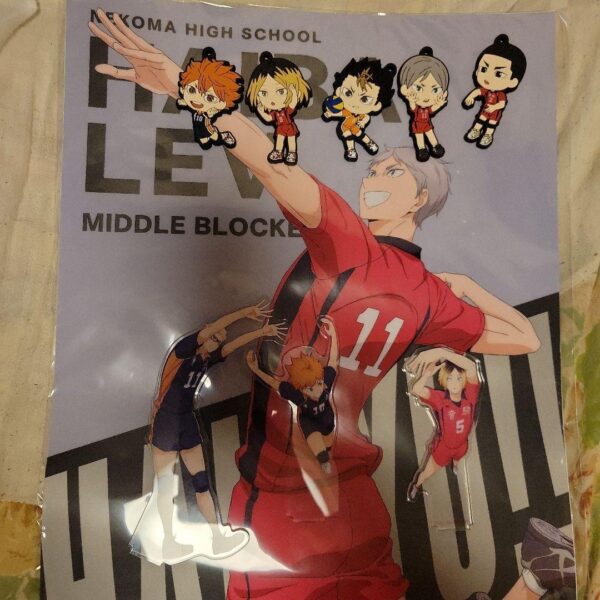 Haikyuu Keychain Acrylic Stand F/S-M501 from japan Rare  Good condition