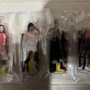 New Japan Pro Wrestling Shin Nichi Premium Lottery Acrylic Stand F/S-M503 from j