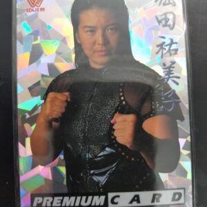 1999 All Japan Women'S Pro Wrestling Card Yumiko Hotta Special F/S-M501 from jap