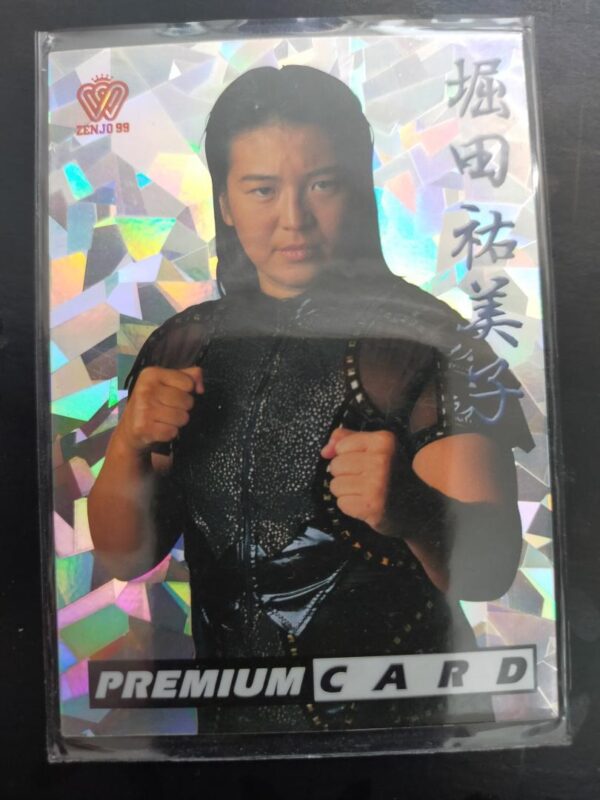 1999 All Japan Women'S Pro Wrestling Card Yumiko Hotta Special F/S-M501 from jap