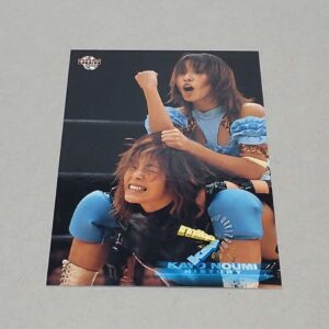 Can Be Combined Bbm 2001 Miho Kayo 12 F/S-M501 from japan Rare  Good condition
