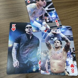 New Japan Pro Wrestling Special Playing Cards 3 Tjp Player F/S-M503 from japan R