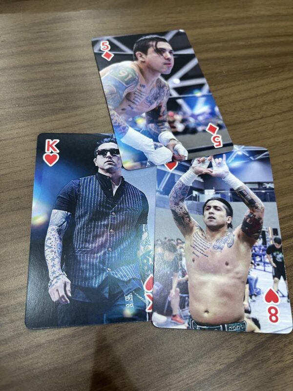 New Japan Pro Wrestling Special Playing Cards 3 Tjp Player F/S-M503 from japan R