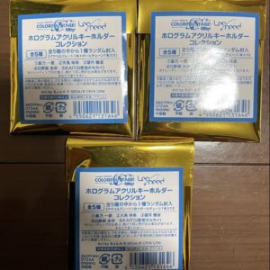 Project Sekai Hologram Acrylic Keychain Collection 3 Pieces F/S-M501 from japan