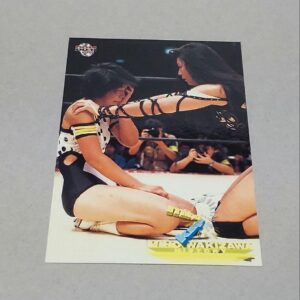 Can Be Combined Bbm 2001 Miho Kayo 5 F/S-M501 from japan Rare  Good condition