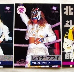 Akira Hokuto Bbm All Japan Women'S Pro Wrestling Card Trading Gaia Reina Fubuki