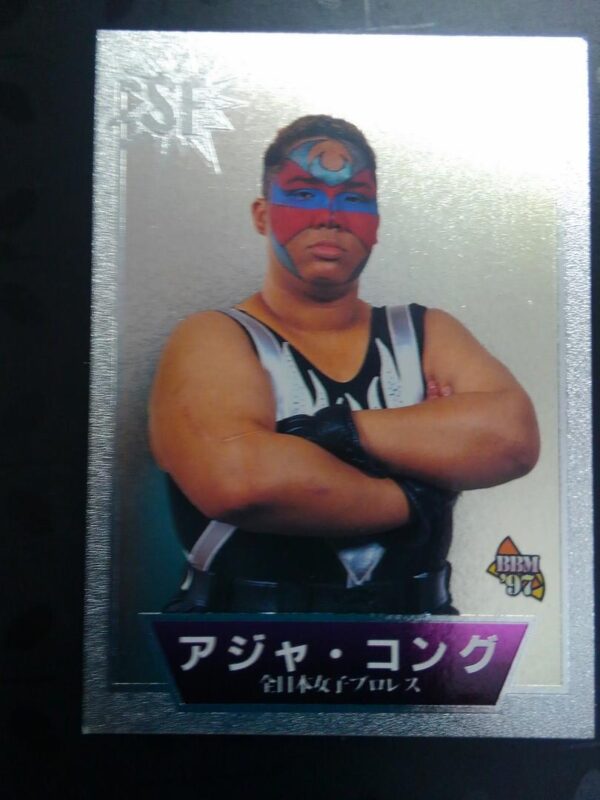 1997 Pro Wrestling Sparkling Fighters Aja Kong F/S-M501 from japan Rare  Good co