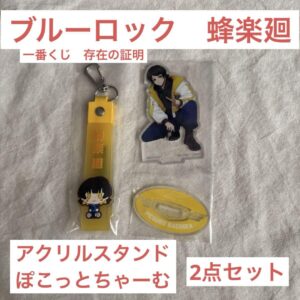 Blue Rock Haraku Kairyu Acrylic Stand Pokotto Charm Keychain Set F/S-M501 from j