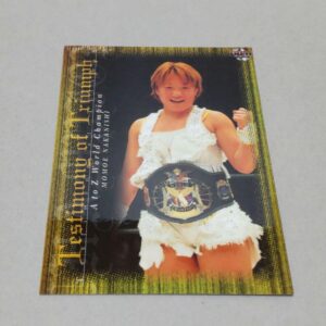 Can Be Combined Bbm 2004 Women'S Pro Wrestling Momoe Nakanishi F/S-M501 from jap