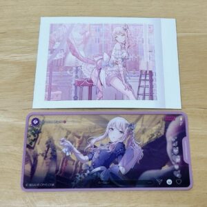 Proseca Mizuki Akiyama Bulk Sale F/S-M501 from japan Rare  Good condition