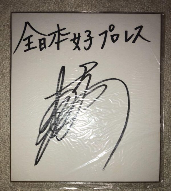 Mariko Yoshida All Japan Pro Wrestling Autographed Colored Paper By Version F/S-