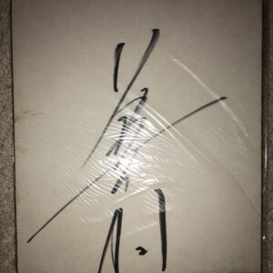 Chikusa Nagayo All Japan Women'S Pro Wrestling Era Autographed Colored Paper Cra