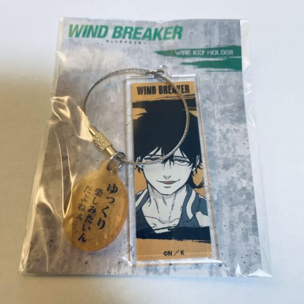 Tokamejo Wb Windbreaker Acrylic Keychain F/S-M501 from japan Rare  Good conditio