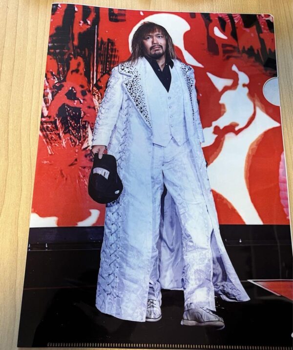 Yesjapan Pro Wrestling Loss Ingo Naito Tetsuya Clear File F/S-M503 from japan Ra