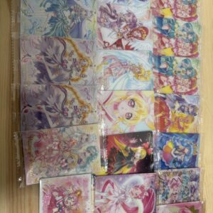 Precure Wafer 10 Card F/S-M501 from japan Rare  Good condition