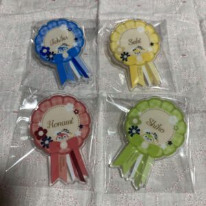 Proseca Acrylic Badge Leoni F/S-M501 from japan Rare  Good condition