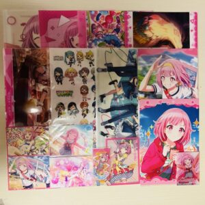Proseca Otori Emu Clear File Cards Bulk Sale F/S-M501 from japan Rare  Good cond