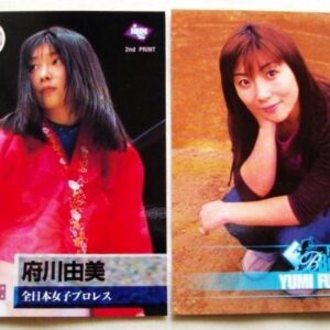Yumi Fukawa Bbm All Japan Women'S Pro Wrestling Alcyon Card Trading F/S-M501 fro