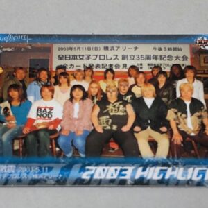 Can Be Combined Bbm 2004 Pro Wrestling Card All Japan Women'S F/S-M501 from japa
