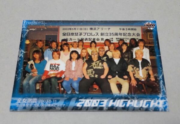 Can Be Combined Bbm 2004 Pro Wrestling Card All Japan Women'S F/S-M501 from japa