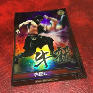 New Japan Pro Wrestling Goto Hiroki Trading Card F/S-M503 from japan Rare  Good