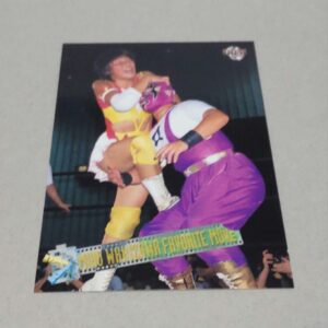 Can Be Combined Bbm 2001 Miho Kayo 29 F/S-M501 from japan Rare  Good condition
