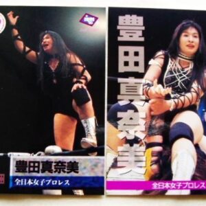Manami Toyota Bbm All Japan Women'S Pro Wrestling Card Trading F/S-M501 from jap
