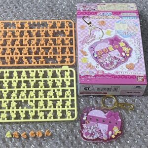 Wandaful Precure Pachi Deco Name Charm Cure Wonderful F/S-M501 from japan Rare