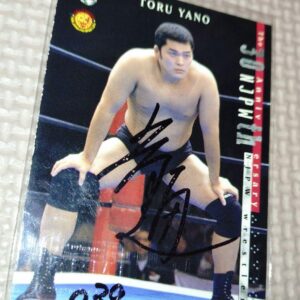 Yano Dori 2002 Bbmjapan Pro Wrestling 30Th Anniversary Autograph F/S-M503 from j