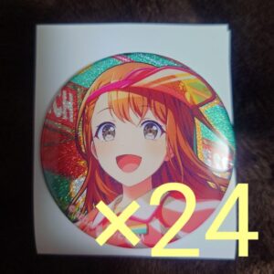 Proseca Glitter Tin Badge Minori 24 Pieces F/S-M501 from japan Rare  Good condit