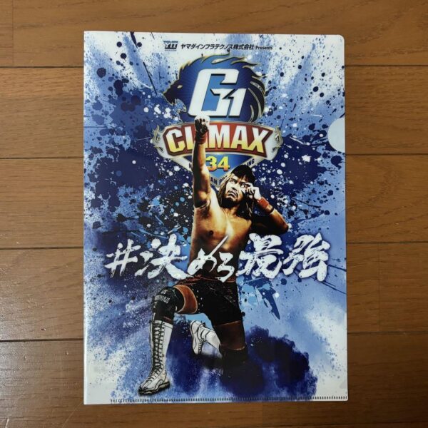 New Japan Pro Wrestling Naito Tetsuya A4 Clear File F/S-M503 from japan Rare  Go