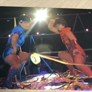 Villainous Queen Distribution Commemoration All Japan Women'S Pro Wrestling Larg