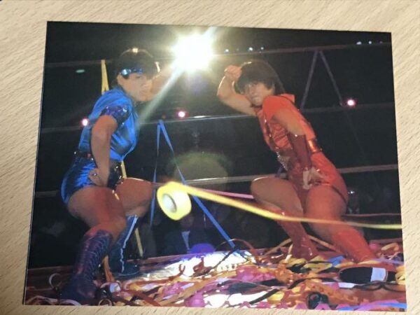 Villainous Queen Distribution Commemoration All Japan Women'S Pro Wrestling Larg