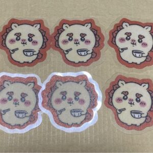 Chiikawa Can Do Flake Seal Shisa