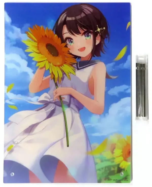 Acrylic Stand Panel Single Item Ozora Subaru Shigureui-Sensei'S Original Virtual