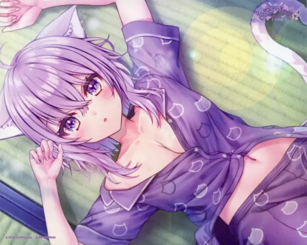 Miscellaneous Goods Single Item Nekomata Okayuka F3 Canvas Art Pc/Switch Softwar