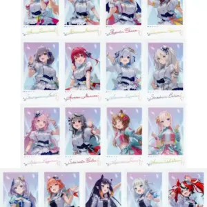 Character Cards Set Of 17 Types Virtual Youtuber Hololive 5Th Fes. Capture The M