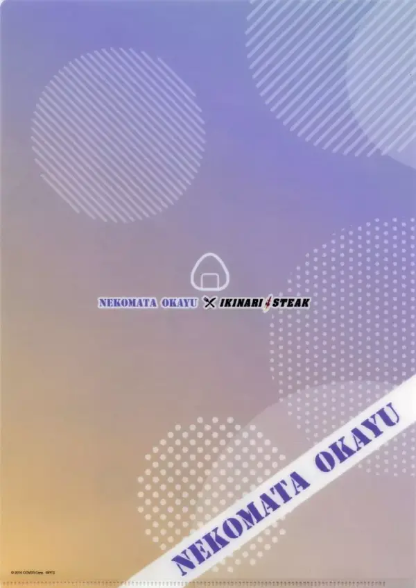Clear File Nekomata Okayuka A4 Virtual Youtuber Hololive Gamers Ikinari Steak Pa