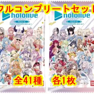 Anime Trading Card/Hololive Production Wafers-Hololive Super Expo 2024 Vol.1- 26