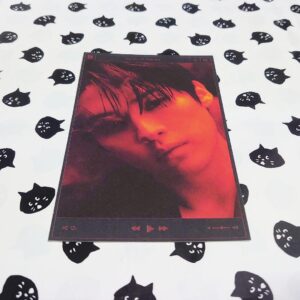 Reno Limited Edition Postcard F/S-M501 from japan Rare  Good condition
