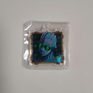 Acrylic Keychain Gacha Jojo'S Bizarre Adventure Stone Free F/S-M503 from japan R
