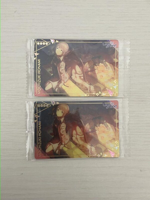 Project Seca Mochizuki Honami Wafers 9Th Edition F/S-M501 from japan Rare  Good